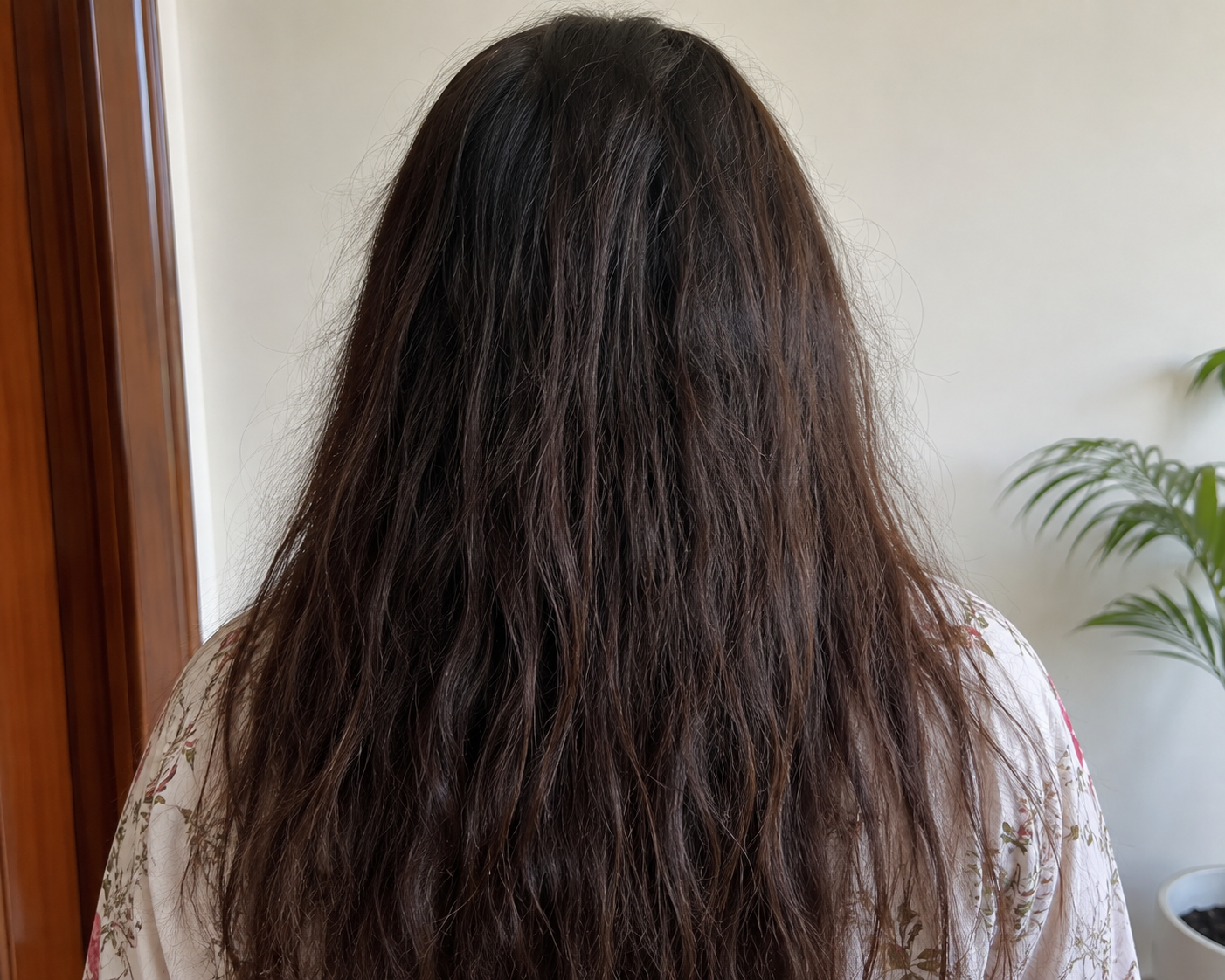 Before image